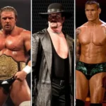 wwe superstars