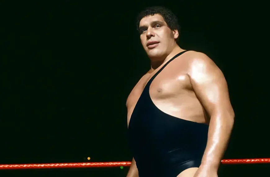 andre the giant wrestlemania