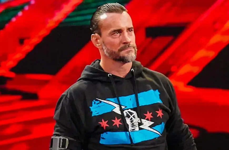 CM Punk