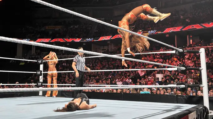 10 WWE Moves Wrestlers Hate Doing (But Fans Love)