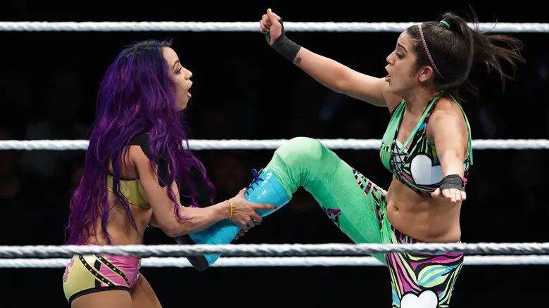 Sasha Banks vs  Bayley 